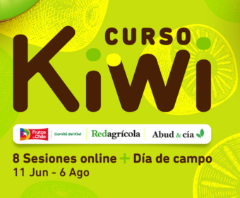 Curso kiwi red agricola