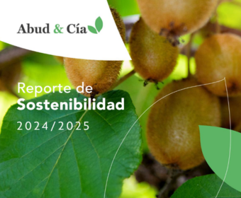 Reportes Sostenibilidad 2024 2025